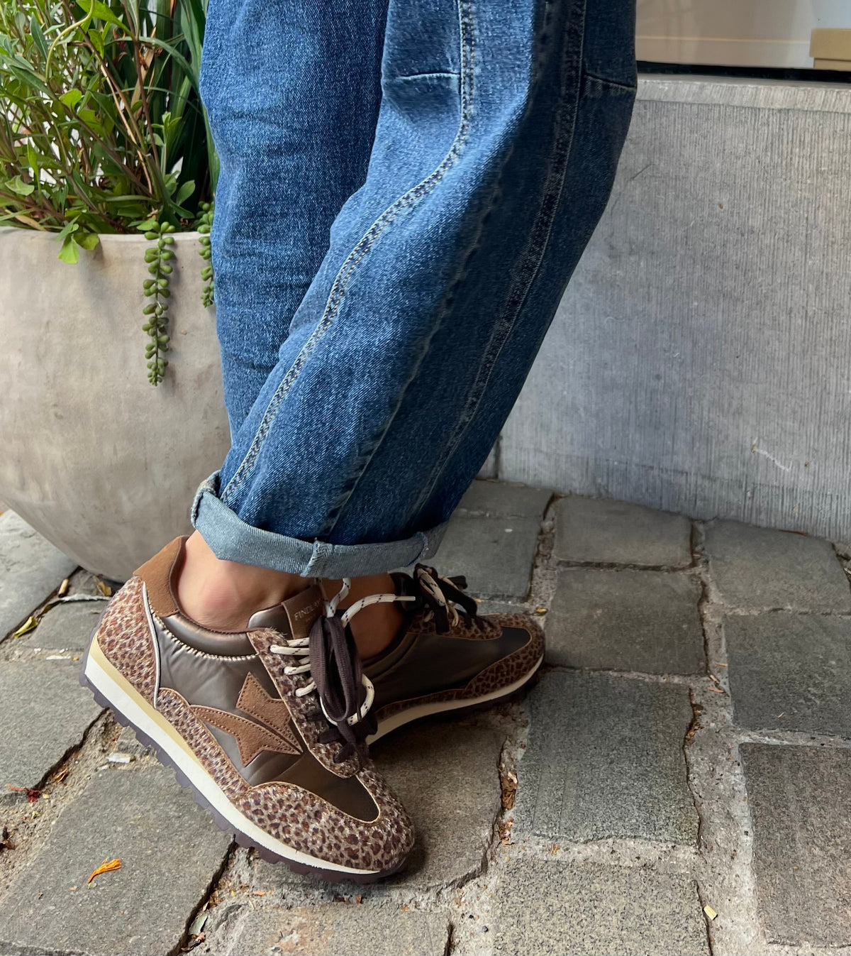 SAM LÉOPARD SNEAKERS