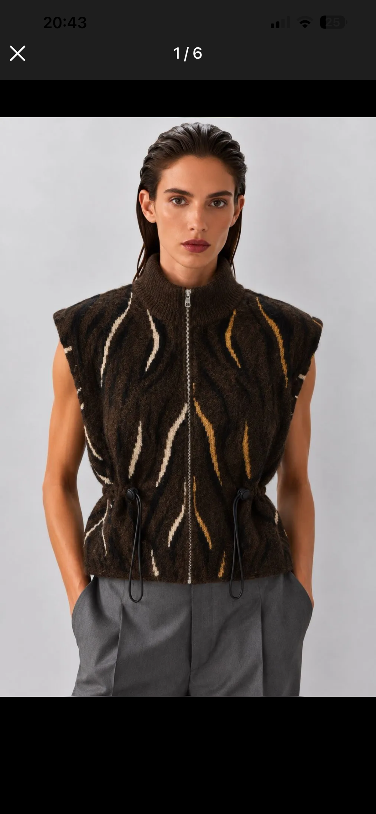 Gilet (kopie)